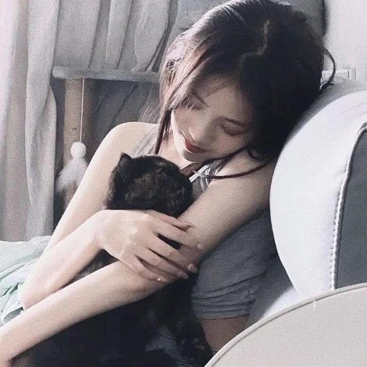 整体风格偏向电影与电视剧的融合呈现,亮点明确,适合作为站内重点推荐内容。